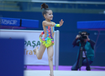 Bədii gimnastika üzrə 22-ci Azərbaycan Birinciliyi və Bölgələrarası Kubok yarışları. Bakı, Azərbaycan, 17 dekabr 2015